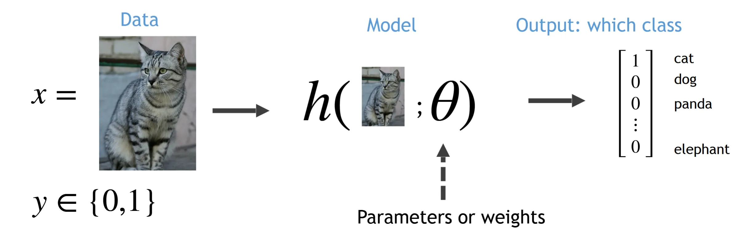 classification