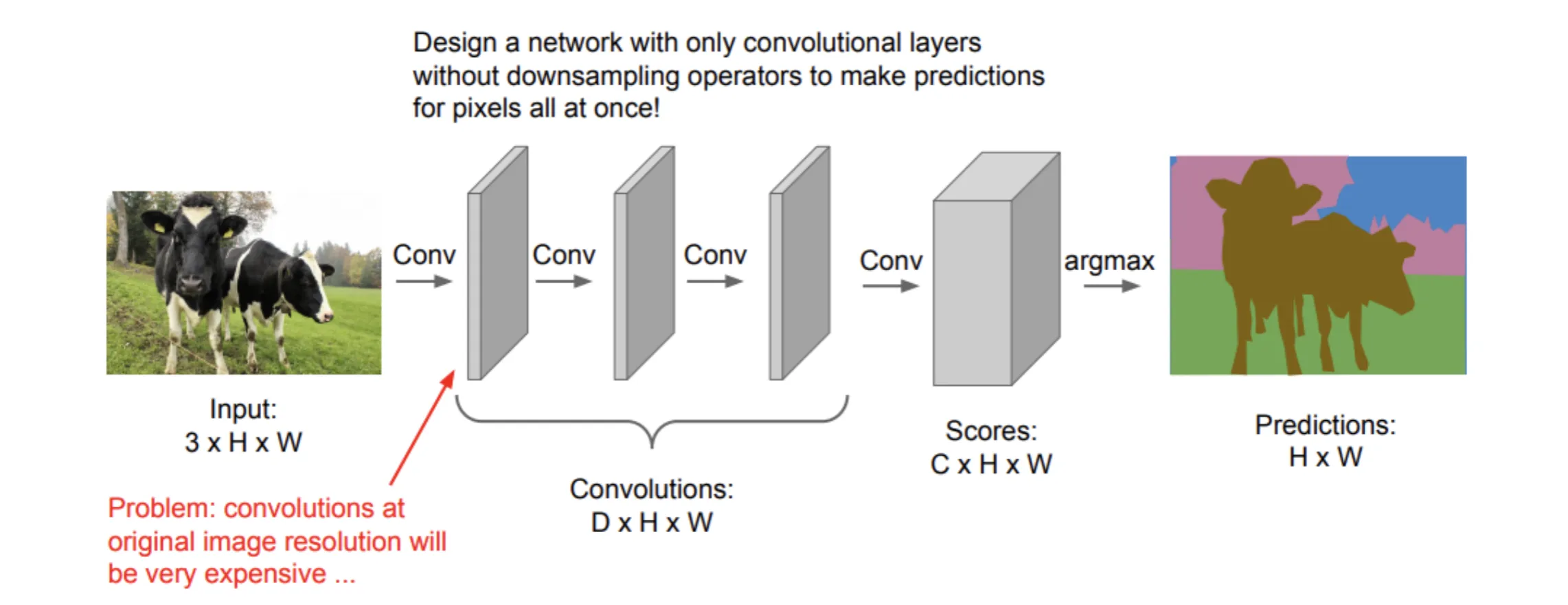 segmentation