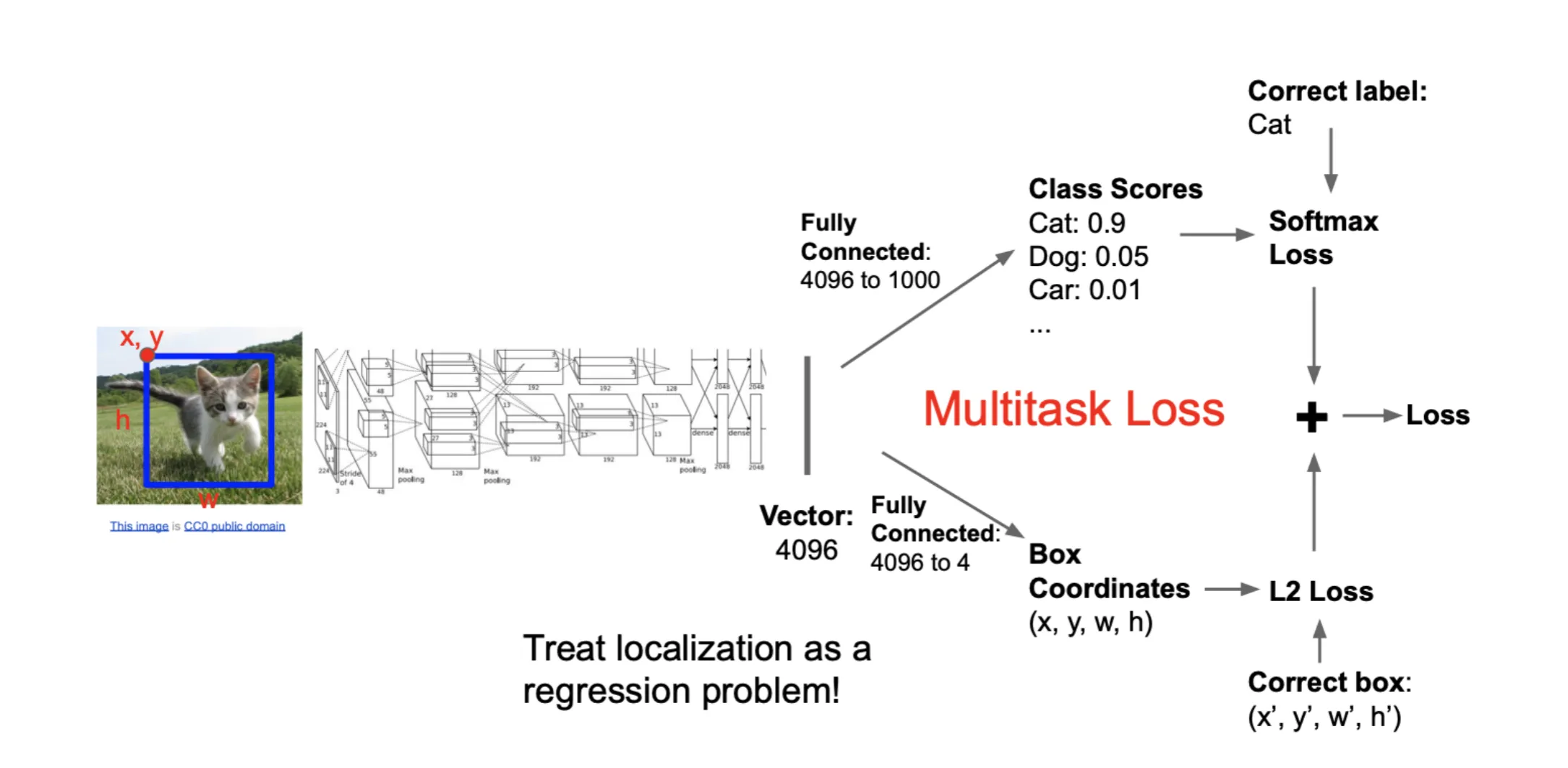 single_object_detection